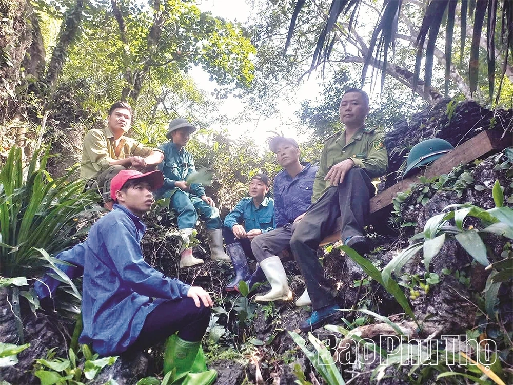 Những “người lính” gác rừng