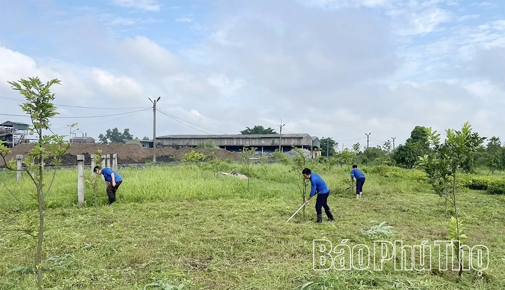 Xung kích trong lao động sản xuất