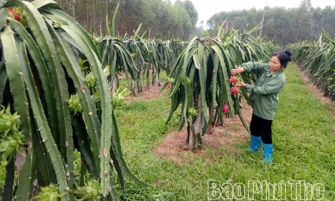 X&acirc;y dựng n&ocirc;ng th&ocirc;n mới: Th&aacute;ch thức v&agrave; cơ hội