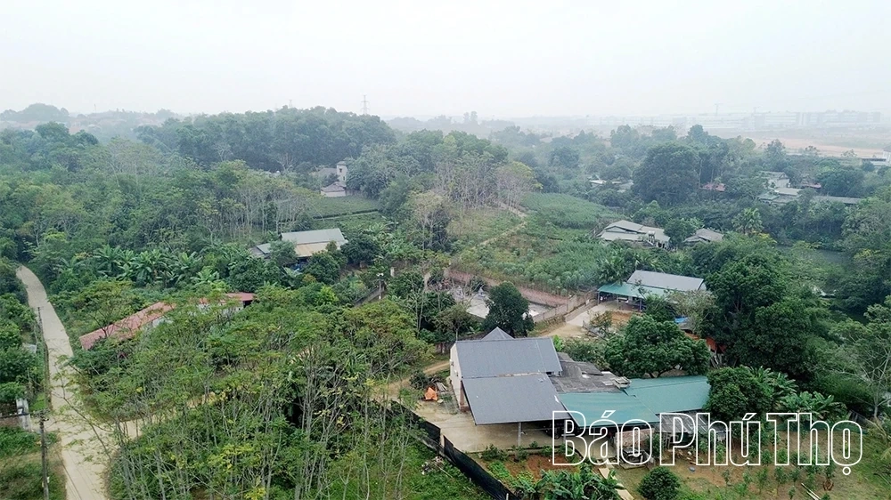 Khơi thông nguồn lực, quyết tâm đưa kinh tế tăng trưởng hai con số