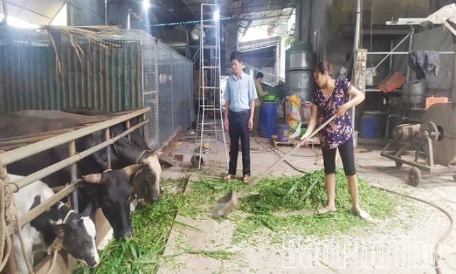 Ph&aacute;t triển chăn nu&ocirc;i theo ti&ecirc;u chuẩn VietGAP
