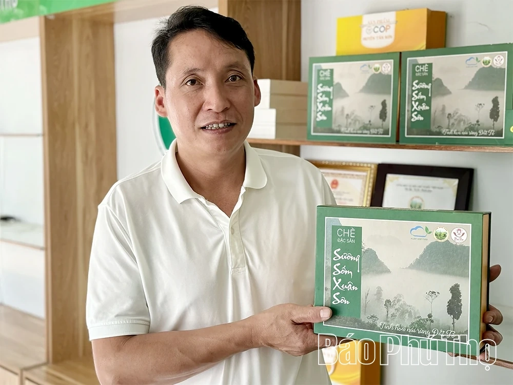 Chắp cánh cho thương hiệu “Chè sương sớm Xuân Sơn”