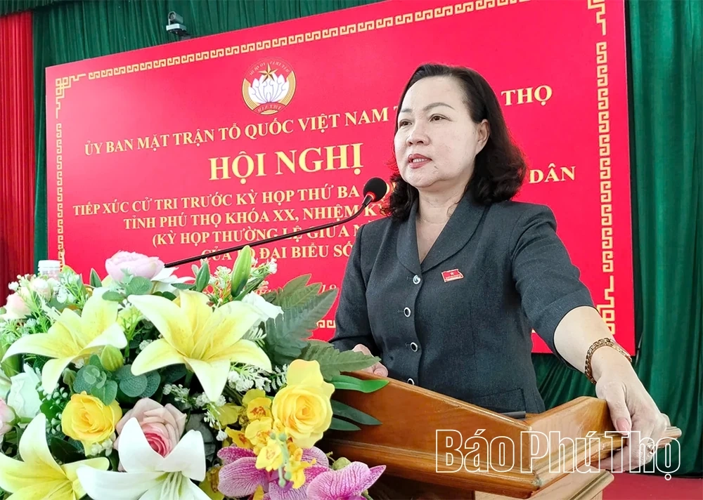Tổ đại biểu số 17 HĐND tỉnh tiếp xúc cử tri trước Kỳ họp thứ Ba, HĐND tỉnh khóa XX