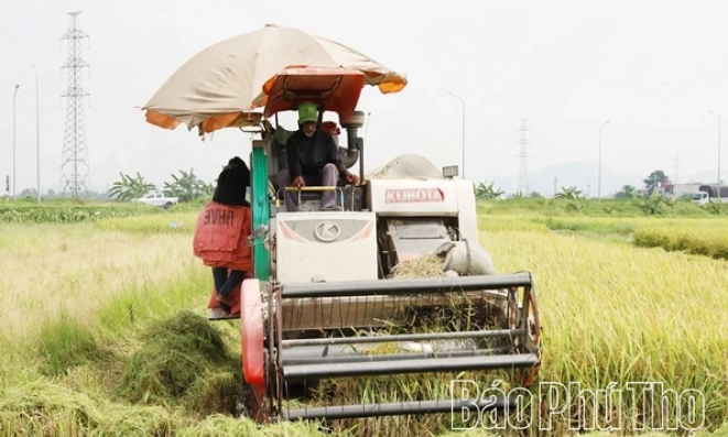 Vụ Xu&acirc;n đạt kết quả cao