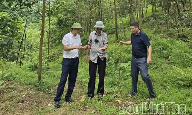 Chủ động ph&ograve;ng trừ s&acirc;u xanh ăn l&aacute; hại c&acirc;y bồ đề